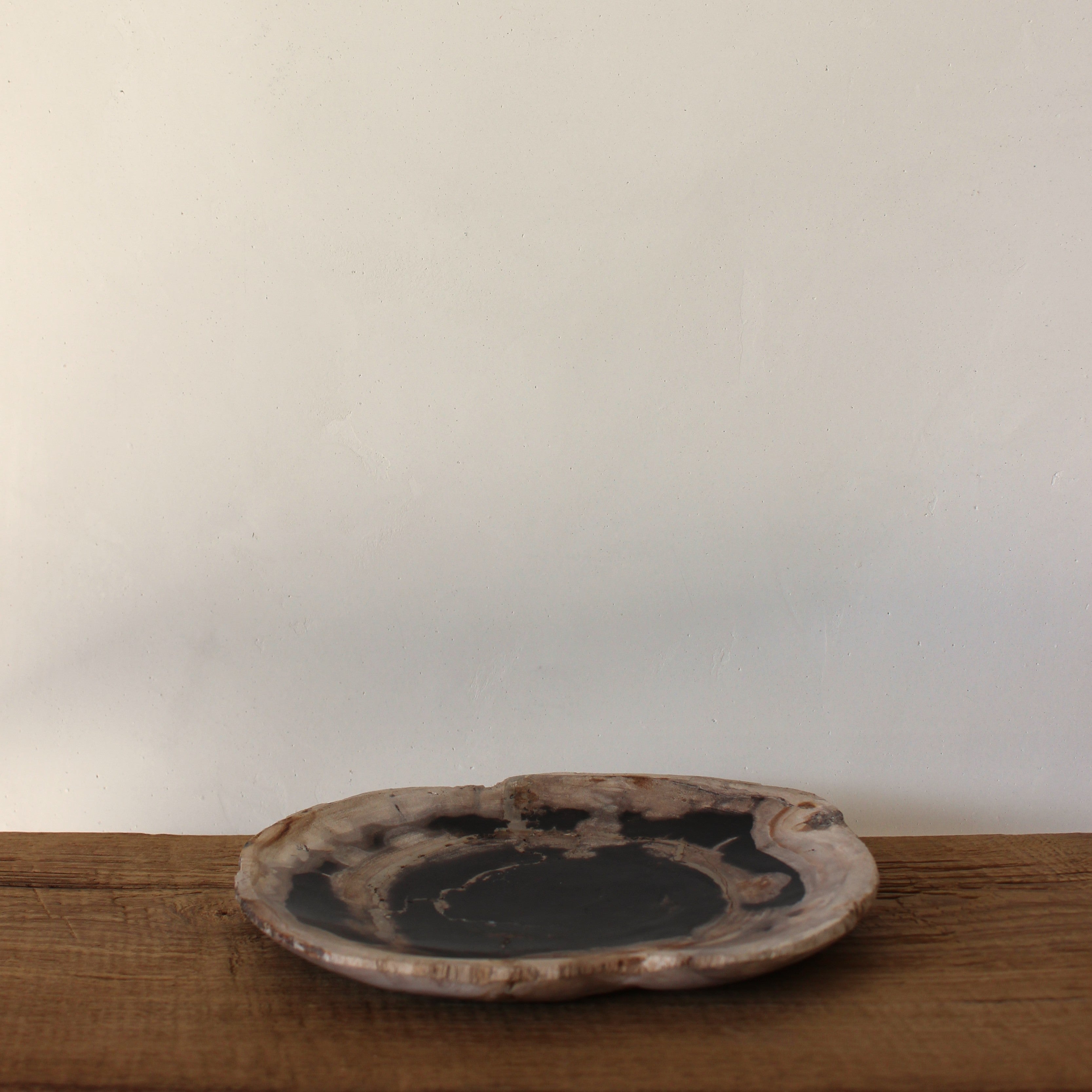 Petrified Wood Plate No.3
