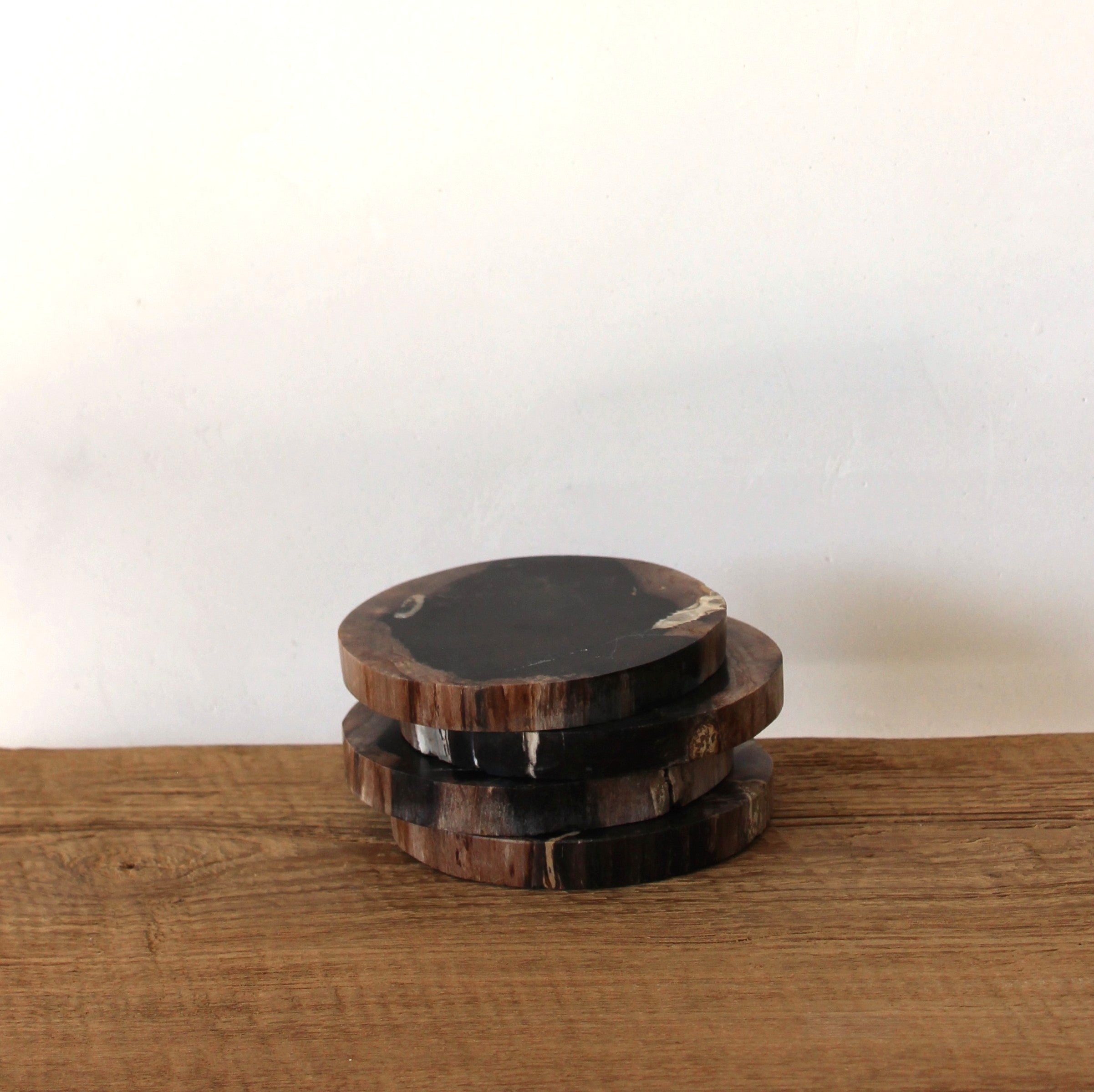 Petrified Wood Coasters Darker Style Set of 4