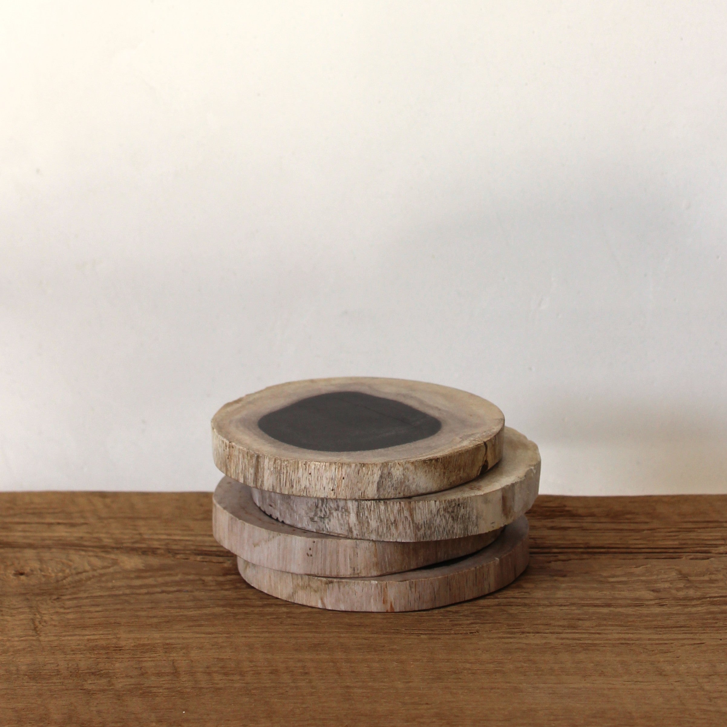 Petrified Wood Coasters