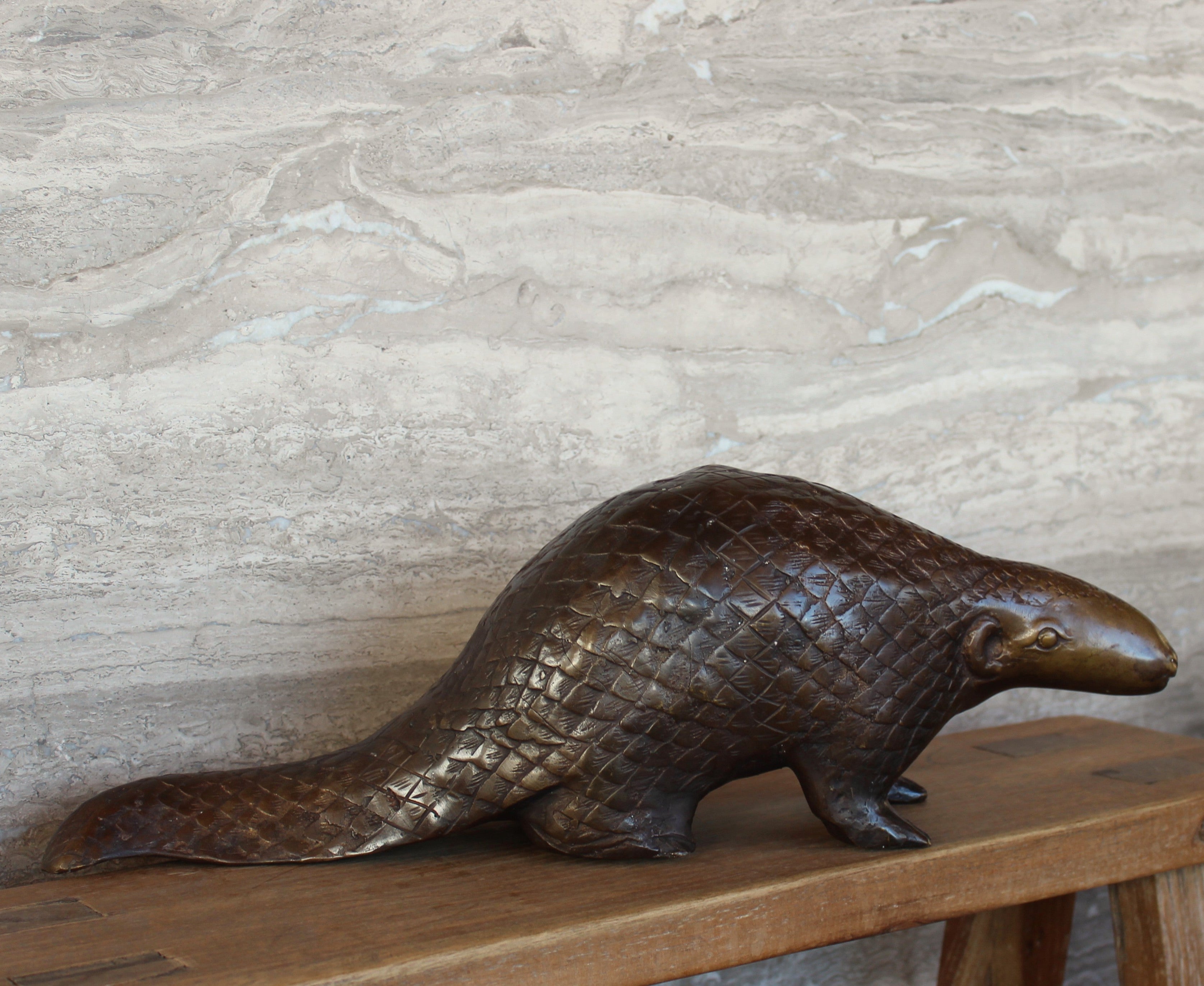 Bronze Pangolin