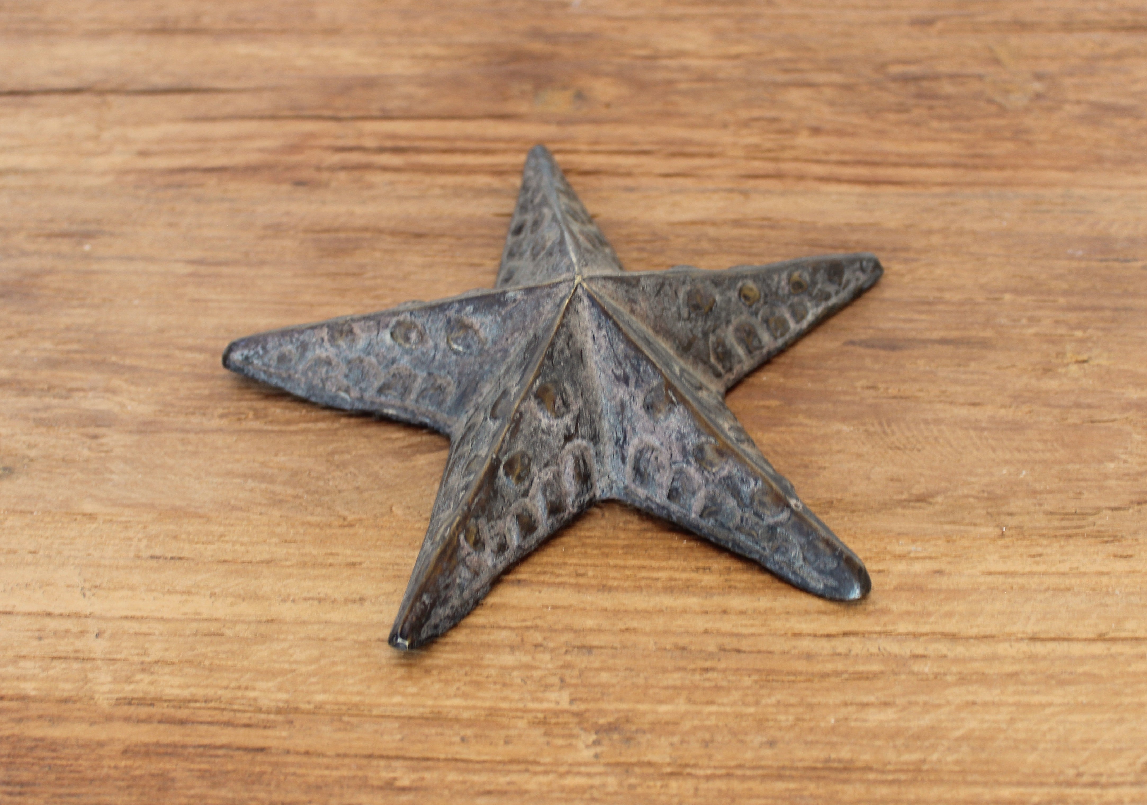 Bronze Starfish