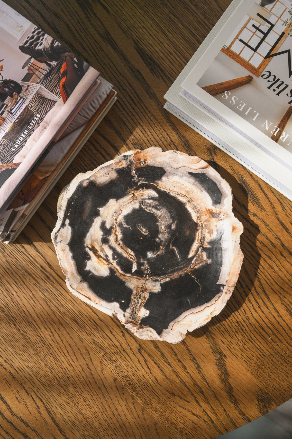 Petrified Wood Plate No.3
