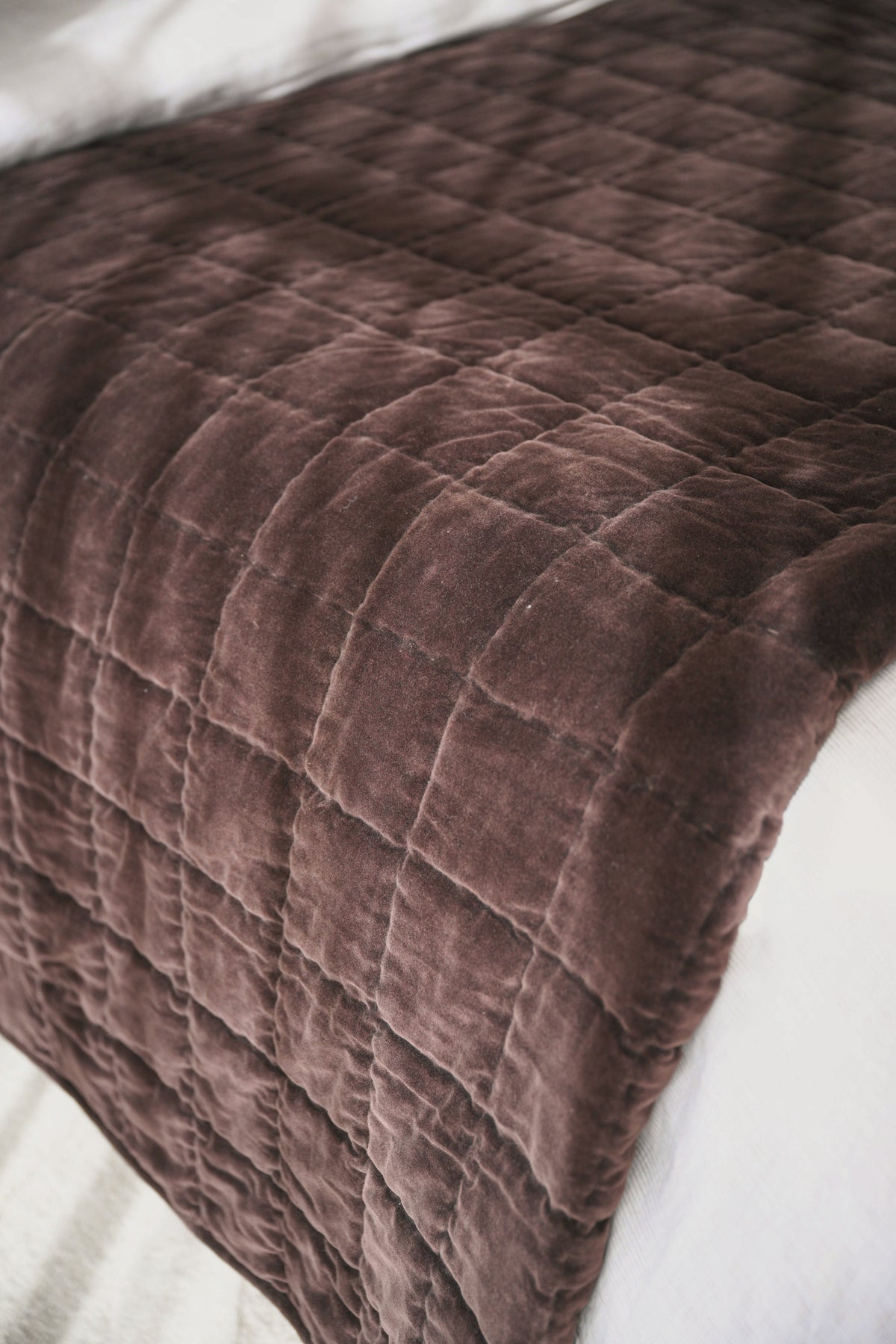Belvedere Velvet Quilt in Cocoa