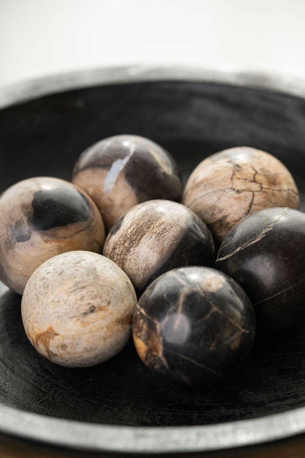 Petrified Wood Spheres