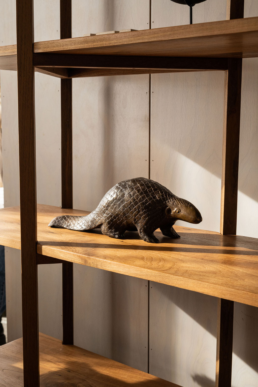 Bronze Pangolin