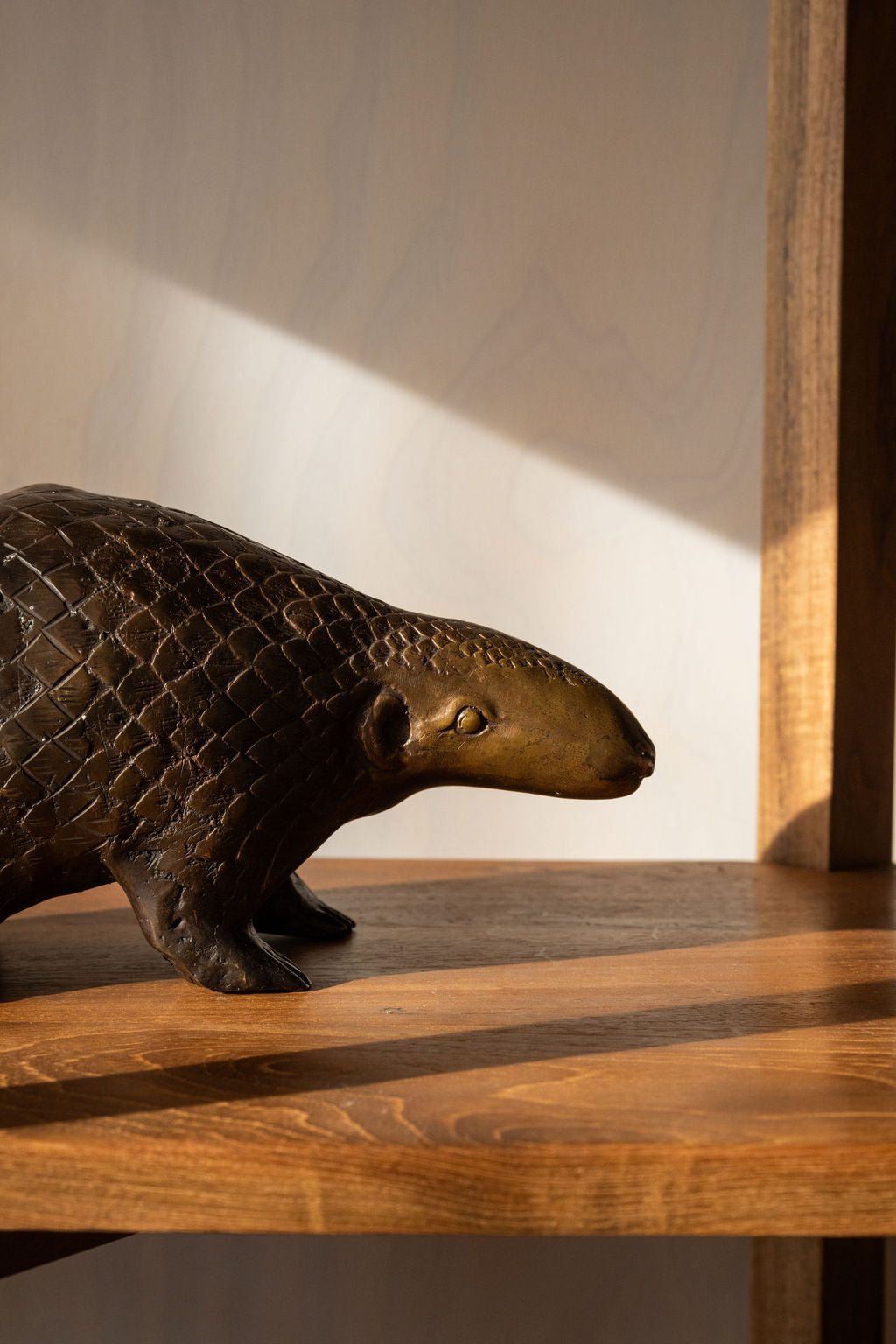 Bronze Pangolin