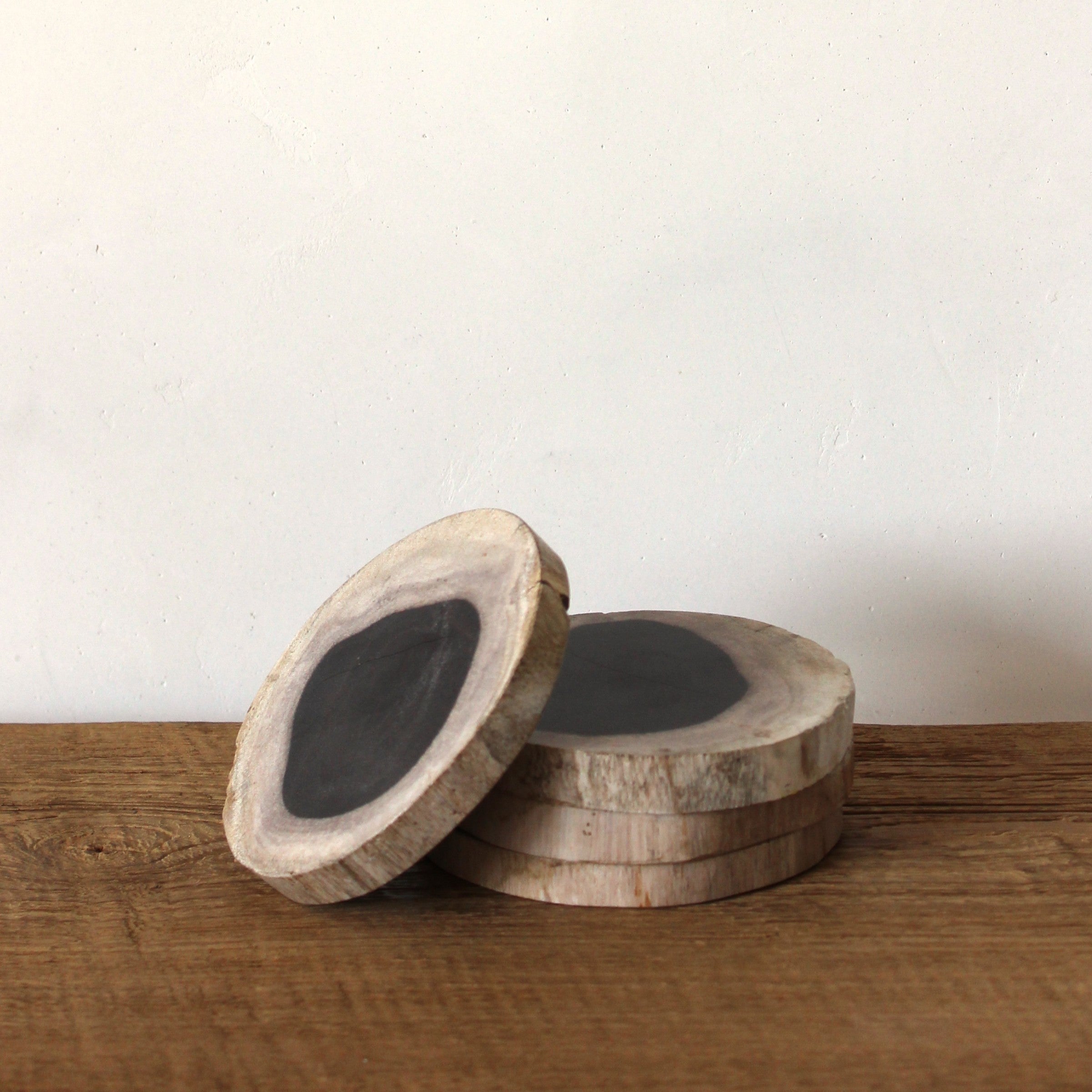 Petrified Wood Coasters