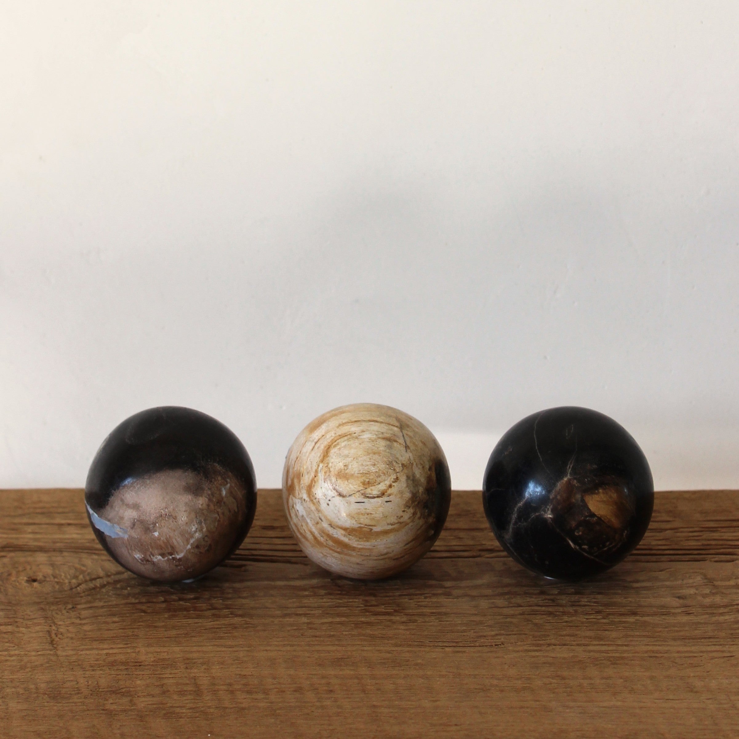 Petrified Wood Spheres