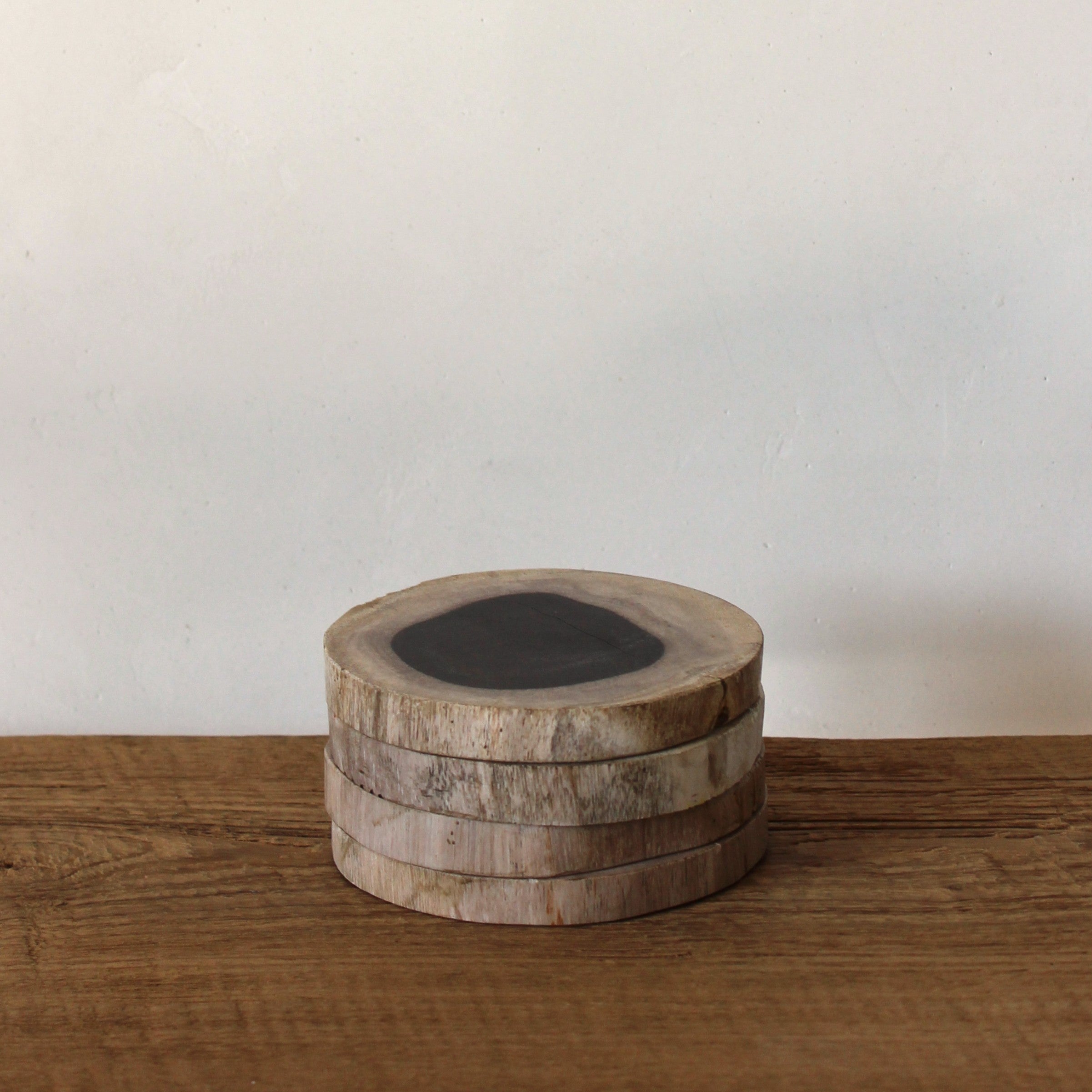 Petrified Wood Coasters