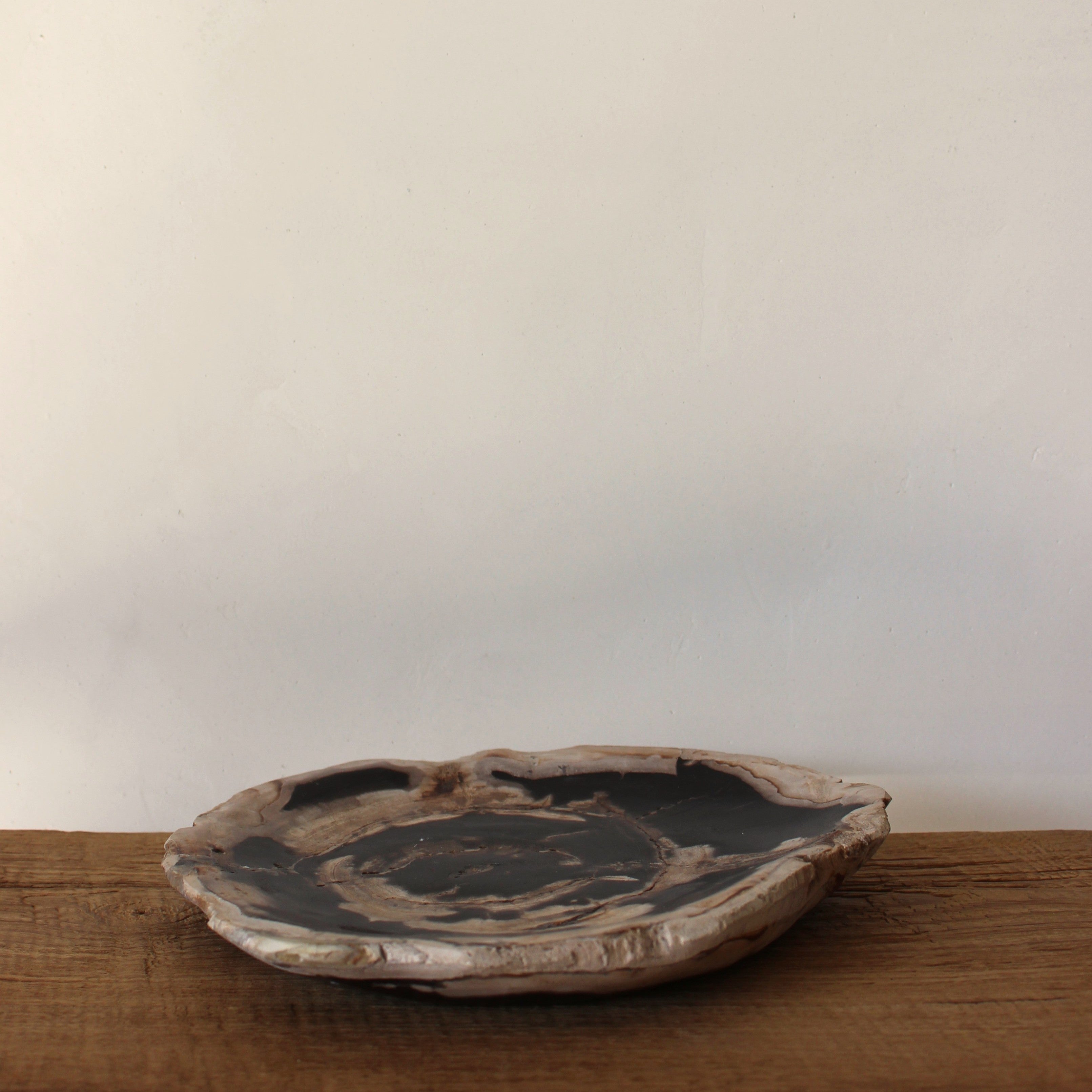 Petrified Wood Plate No.2