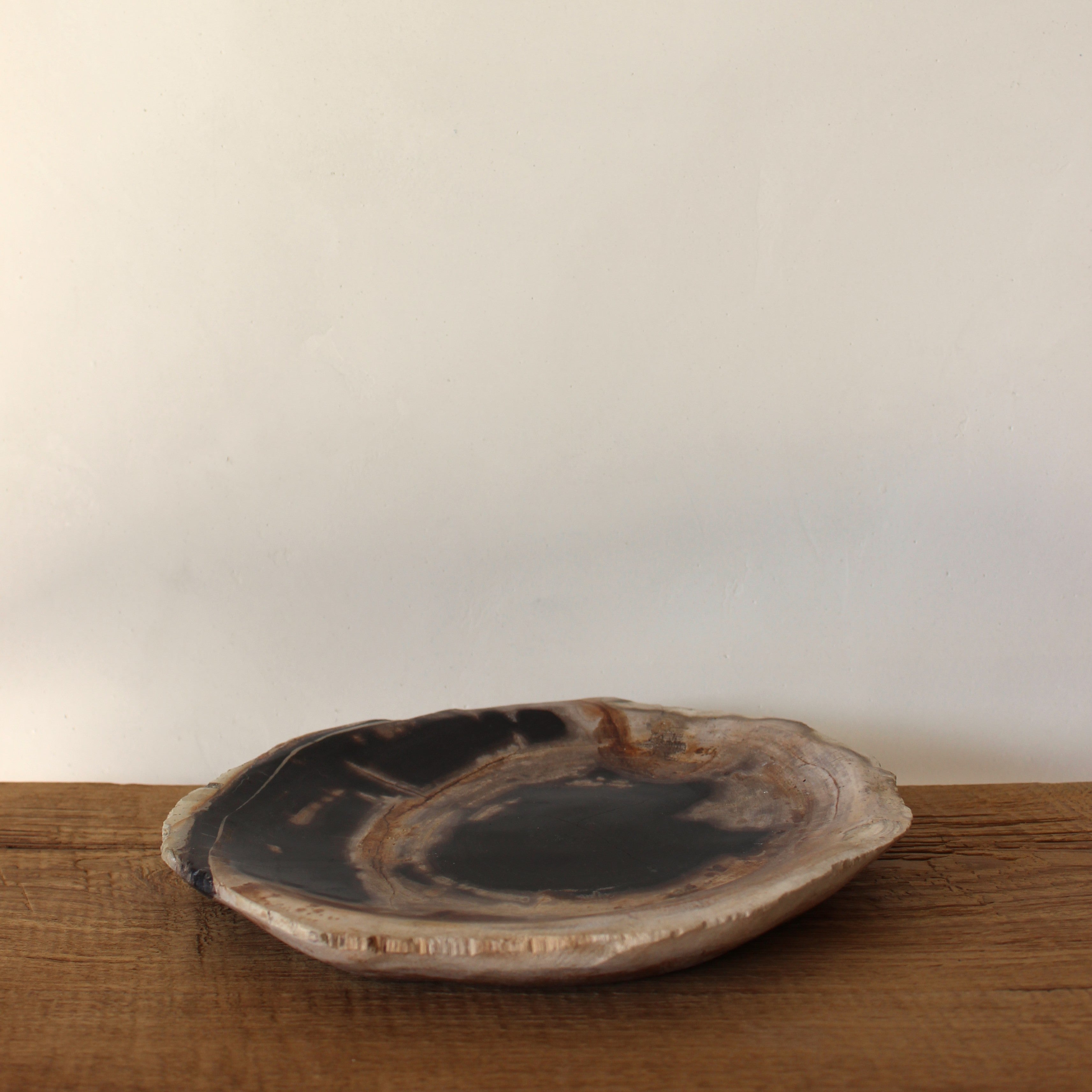 Petrified Wood Plate No.1