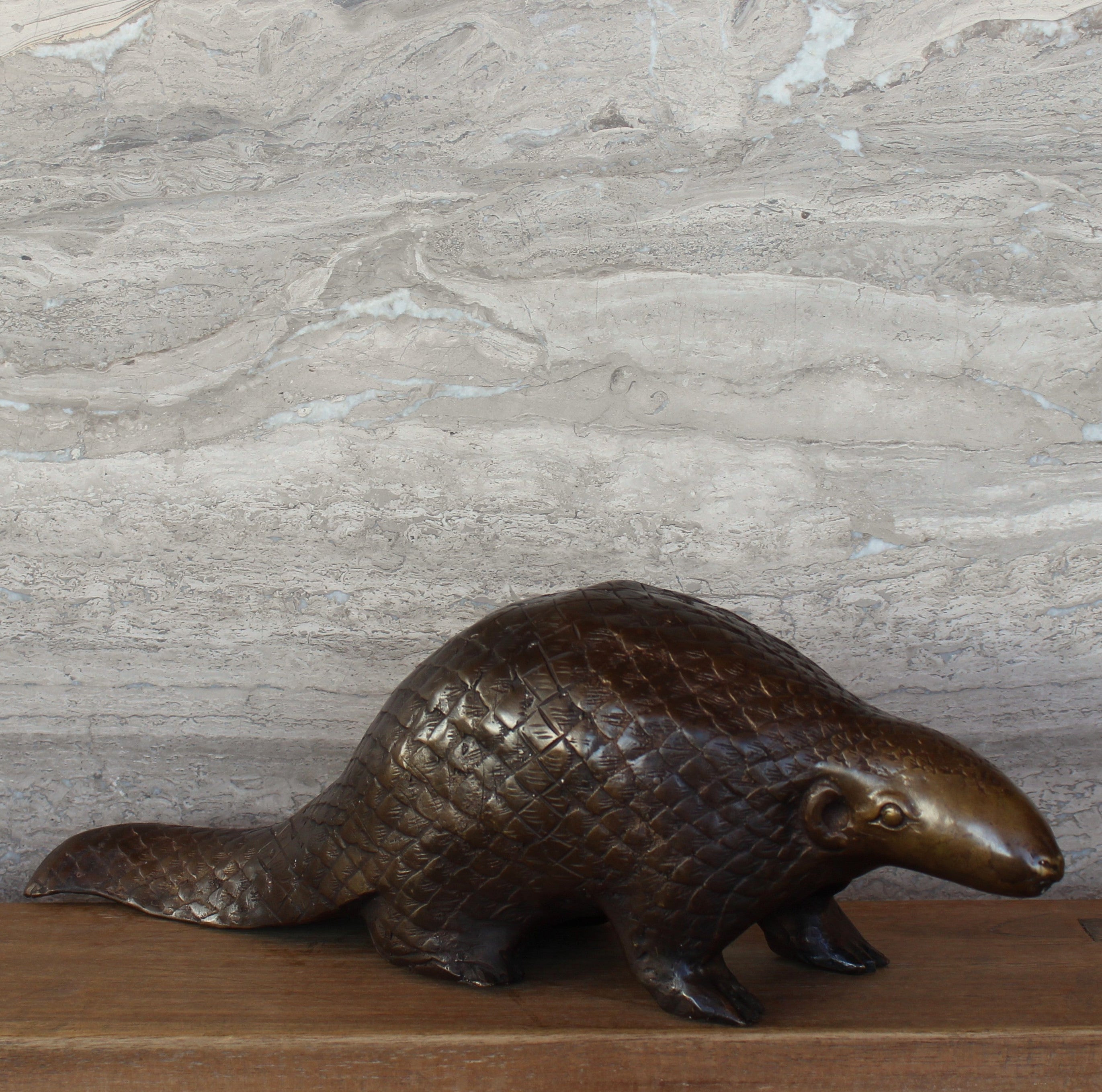 Bronze Pangolin