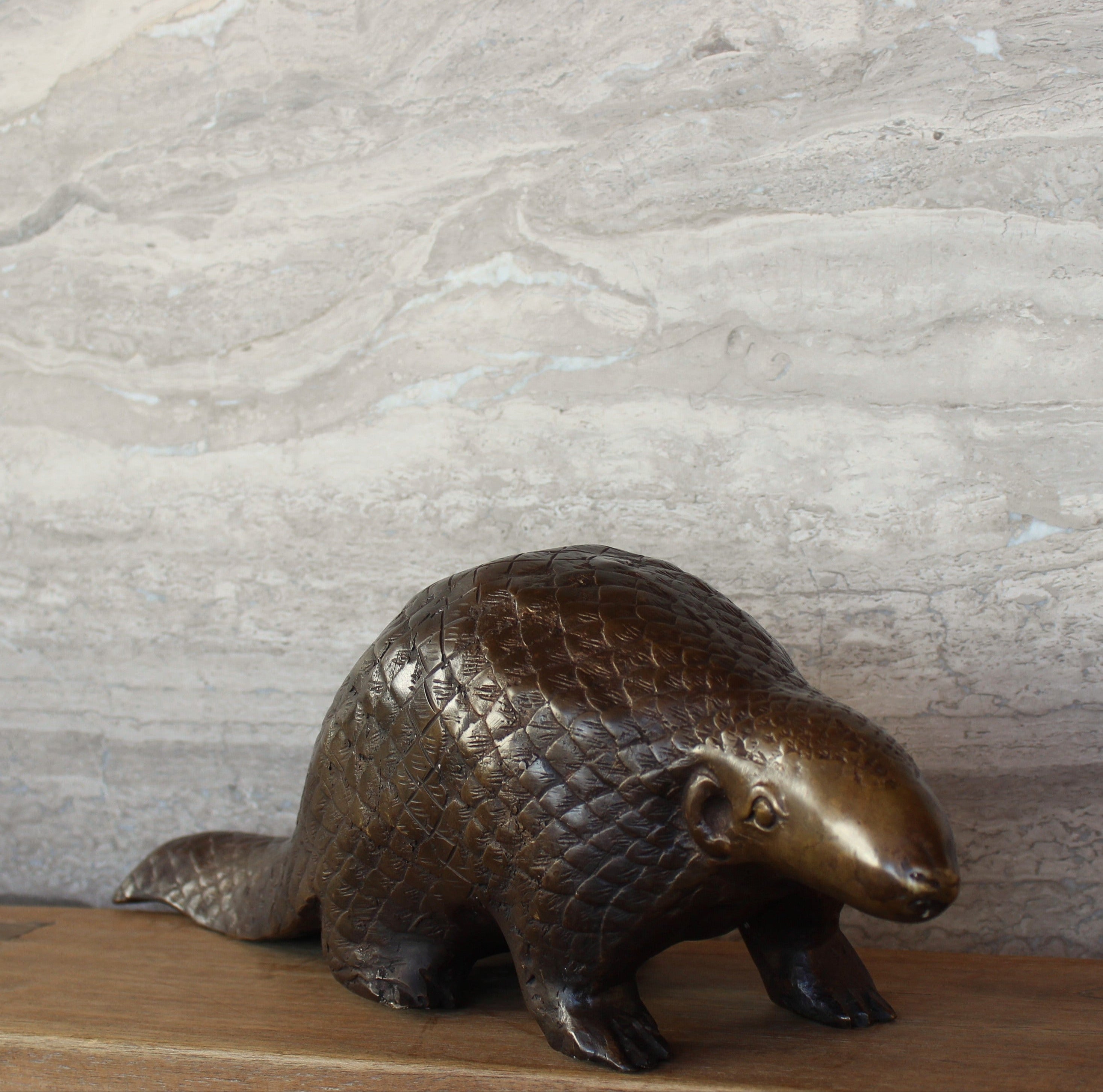 Bronze Pangolin