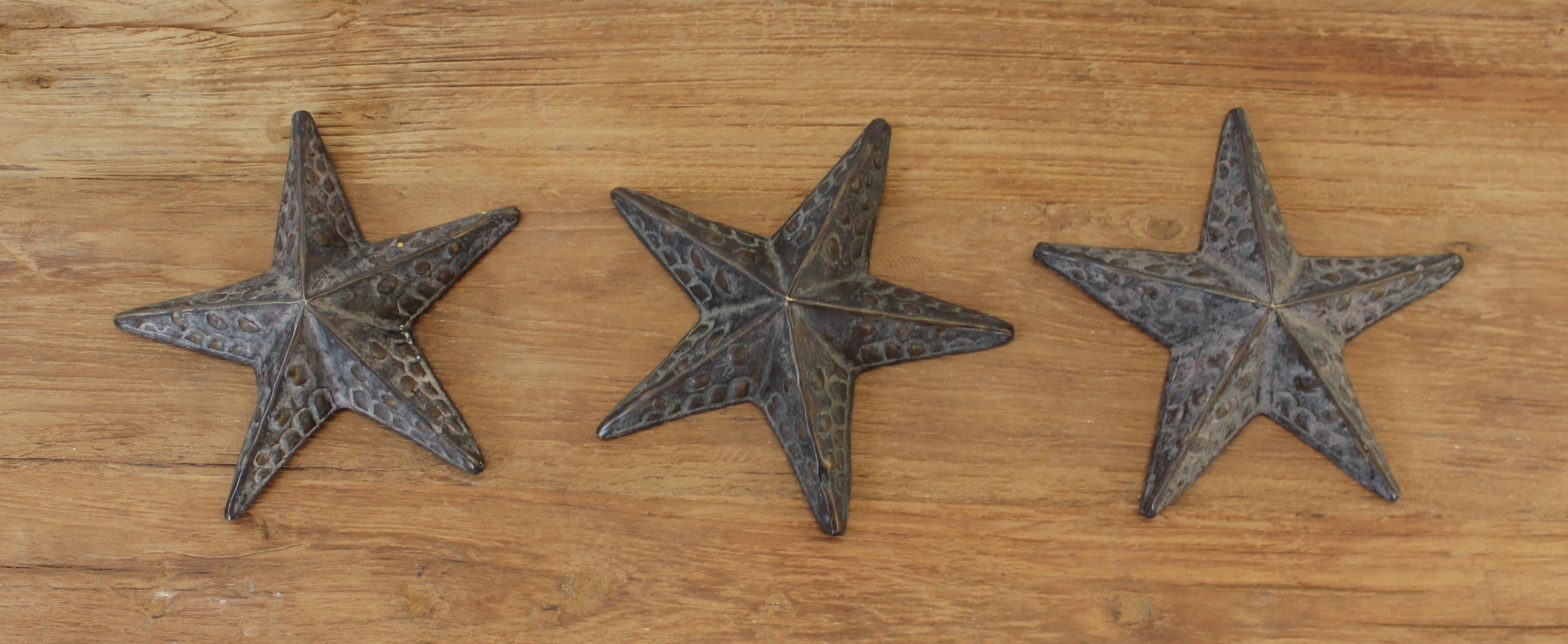 Bronze Starfish