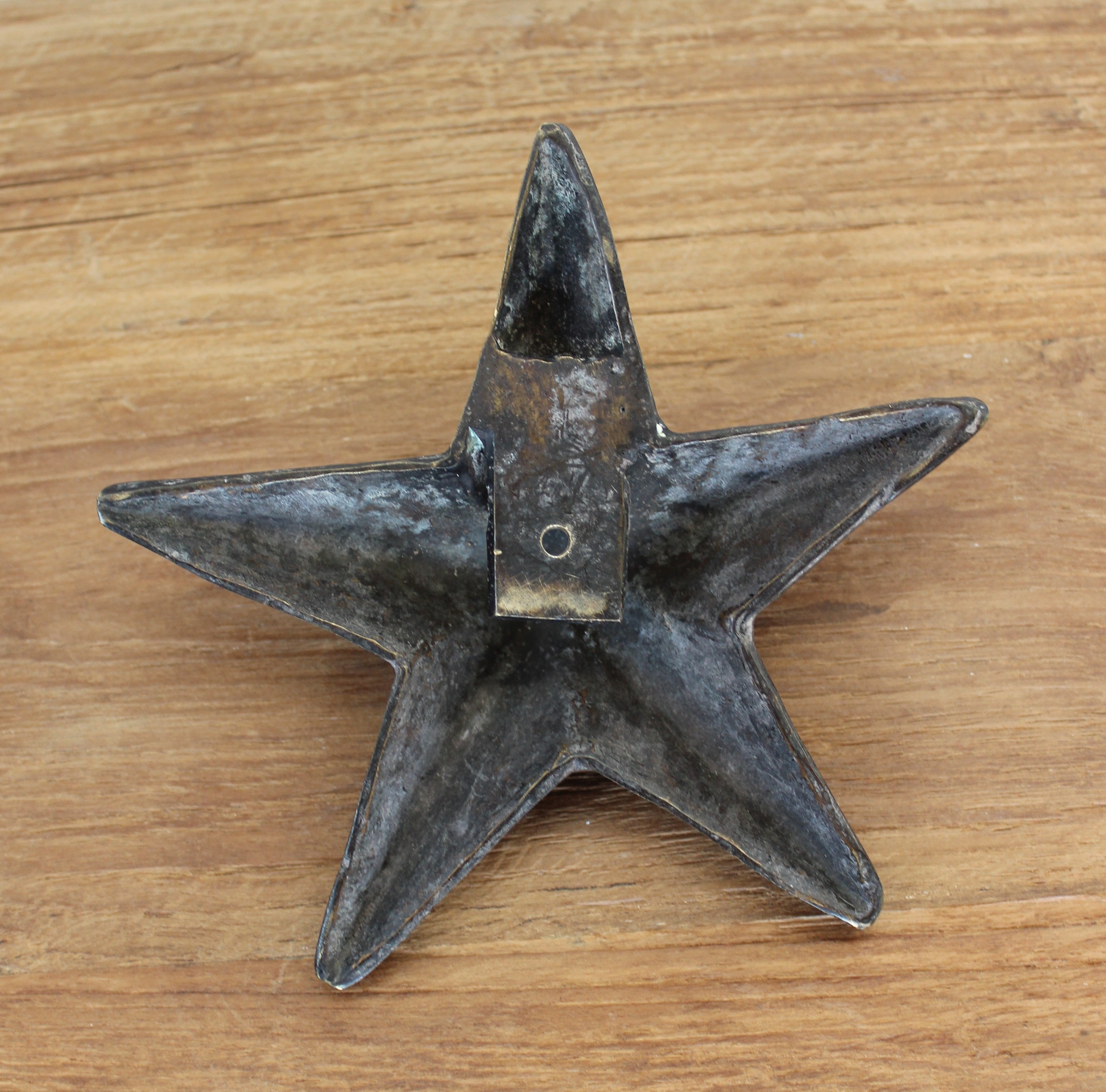 Bronze Starfish