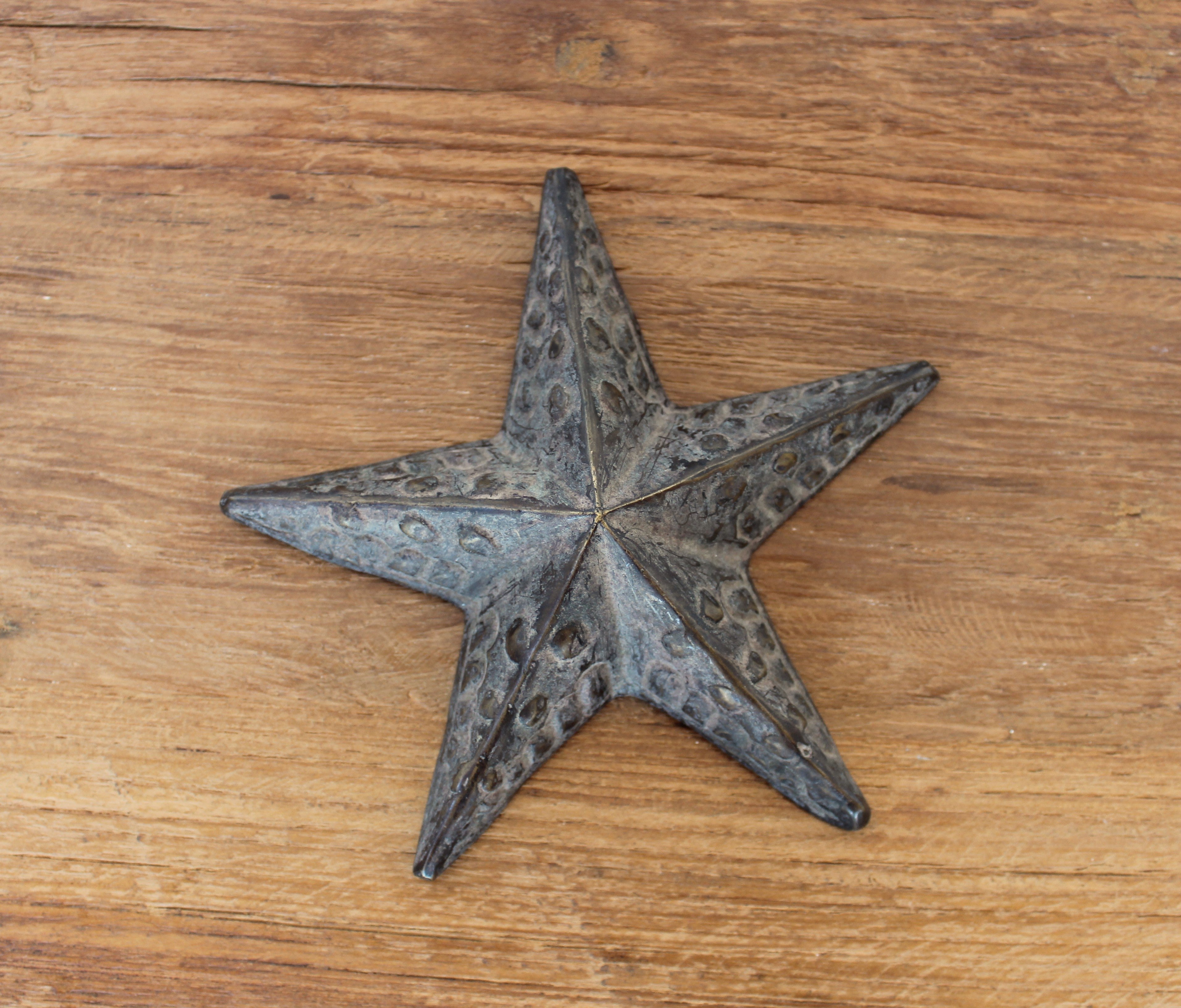 Bronze Starfish