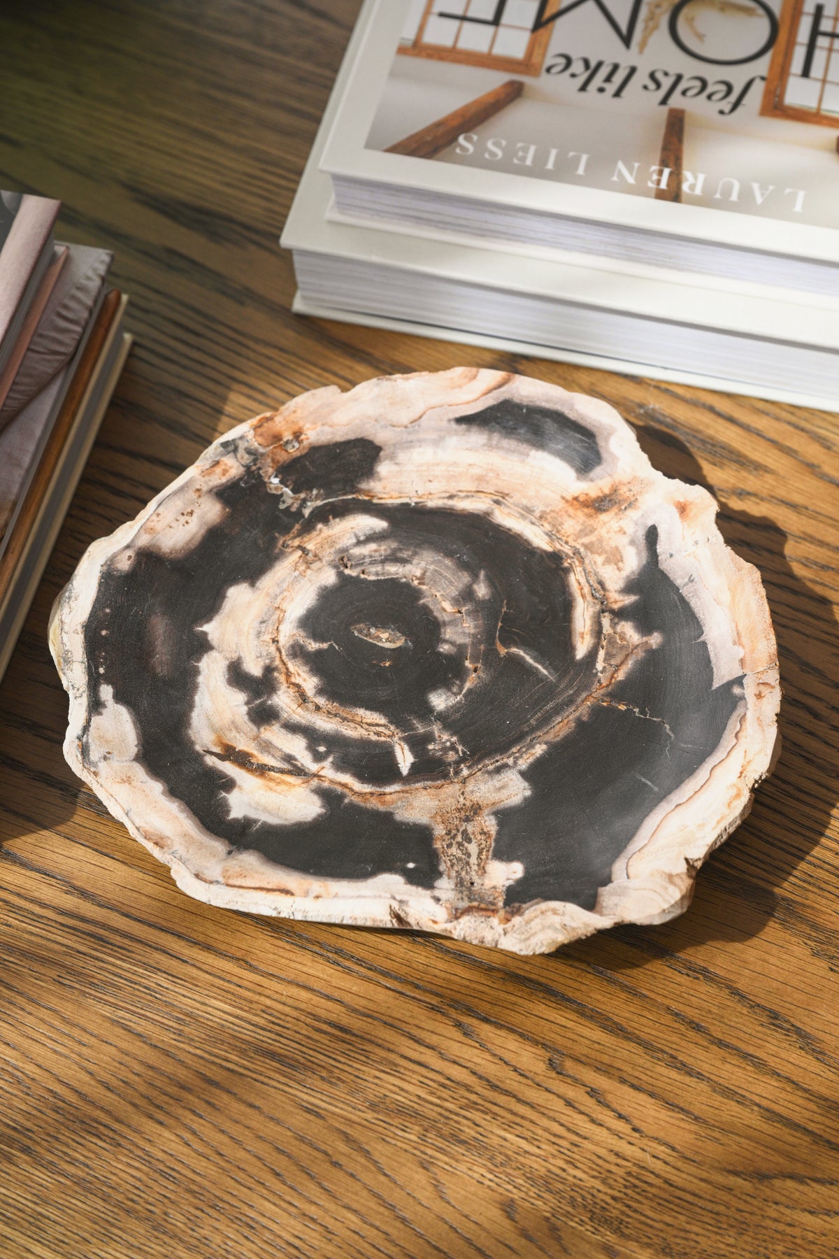 Petrified Wood Plate No.3