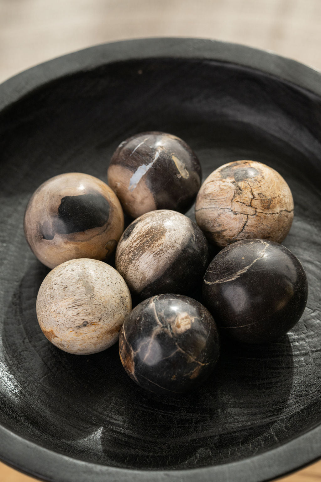 Petrified Wood Spheres