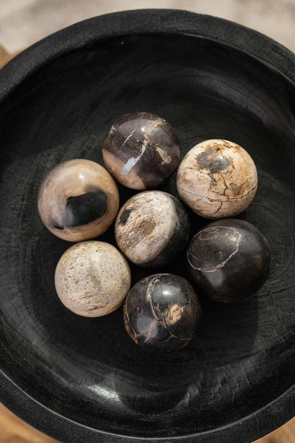 Petrified Wood Spheres