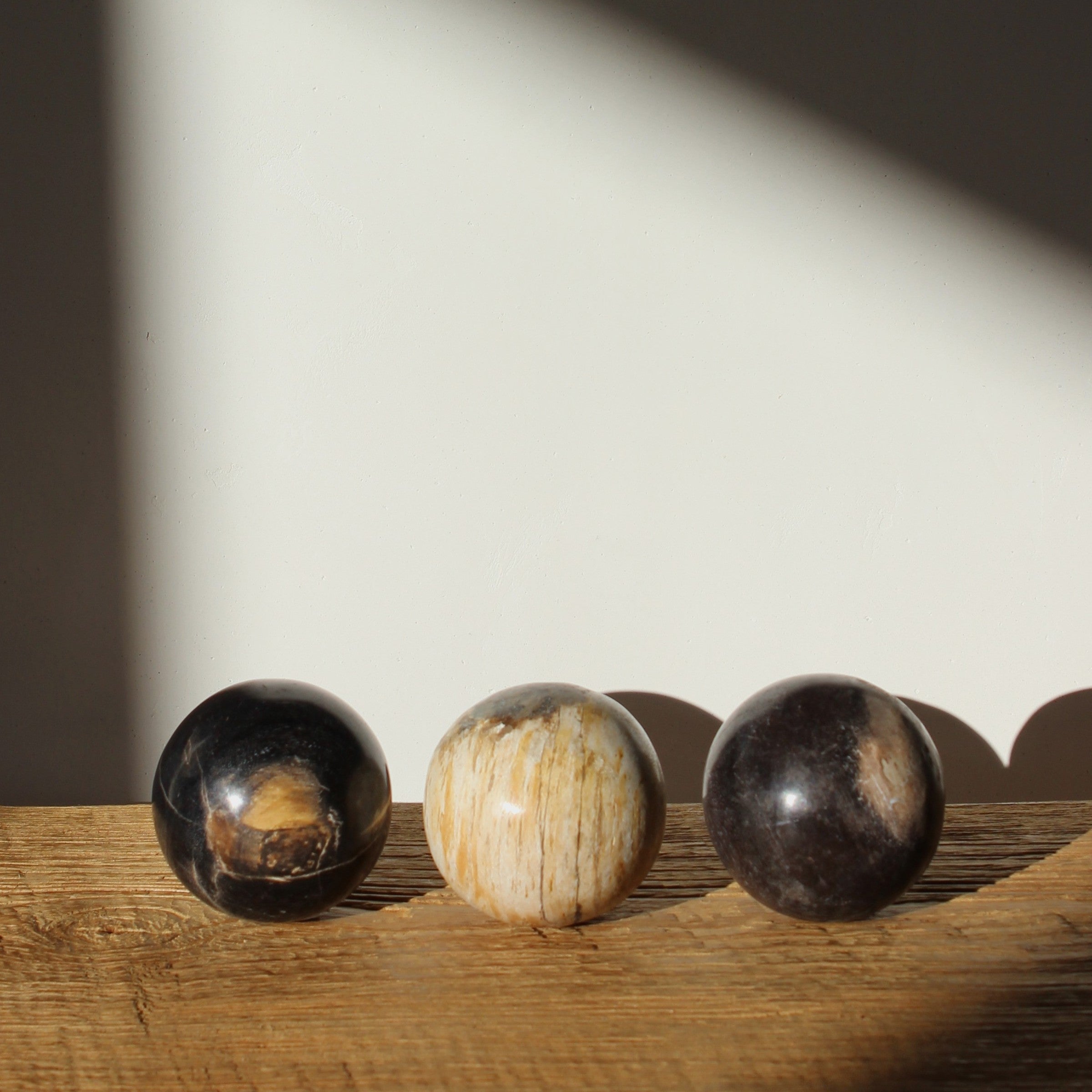 Petrified Wood Spheres